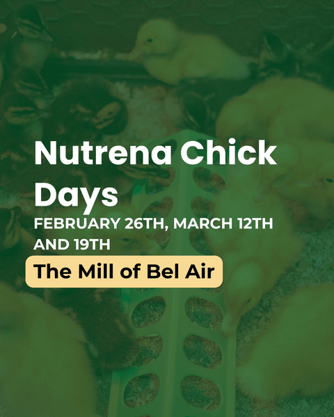 Nutrena Chick Days