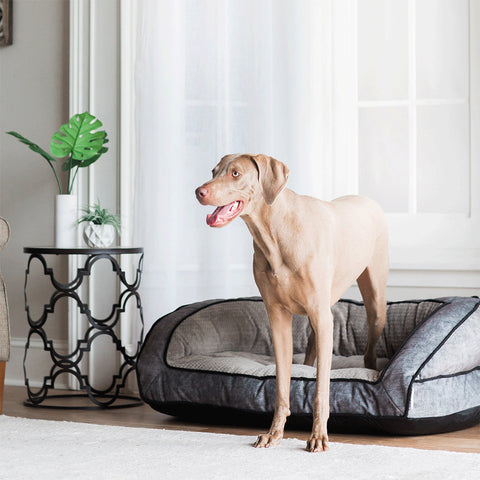 Harper Sofa Bed – Twill Smoke