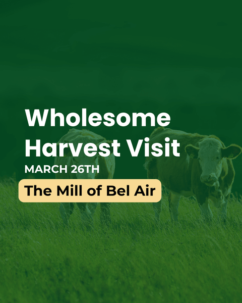 Wholesome Harvest Visit