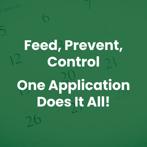 LebanonTurf Turf Fertilizer 19-0-6 40lb bag with LockUp and .17 Dimension for healthy lawn growth