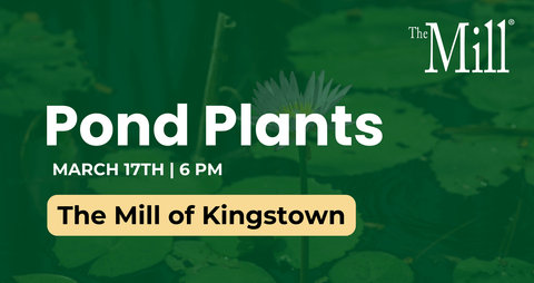 Promotional graphic for pond plants event at The Mill of Kingstown with green background and text.
