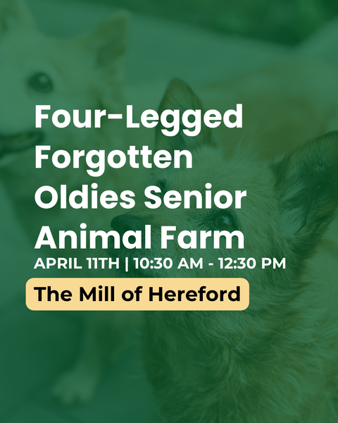 Promotional flyer for a senior animal event at The Mill of Hereford with text overlay.
