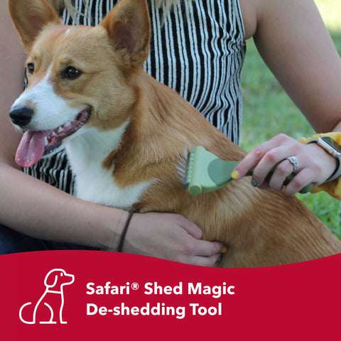 Safari® Shed Magic De-Shedding Tool for Dogs – Short to Medium Hair