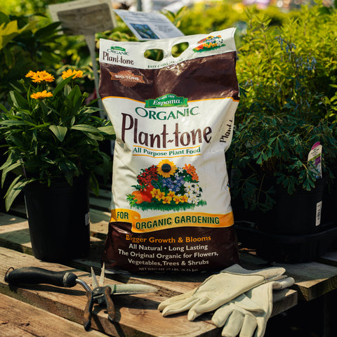 Bag of Espoma Organic Plant-tone plant food on a wooden table with gardening tools and plants in the background.