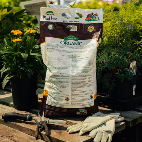 Bag of Organic Plant-tone on a wooden table with gardening tools and gloves, surrounded by plants.
