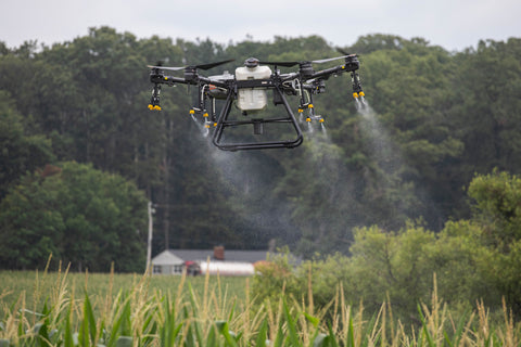 Drone spraying a corn field