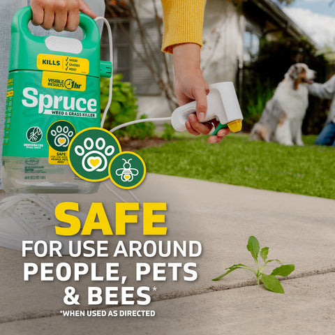 Spruce 64 oz manual weed and grass killer bottle for lawn and garden use, with spray nozzle and label visible.