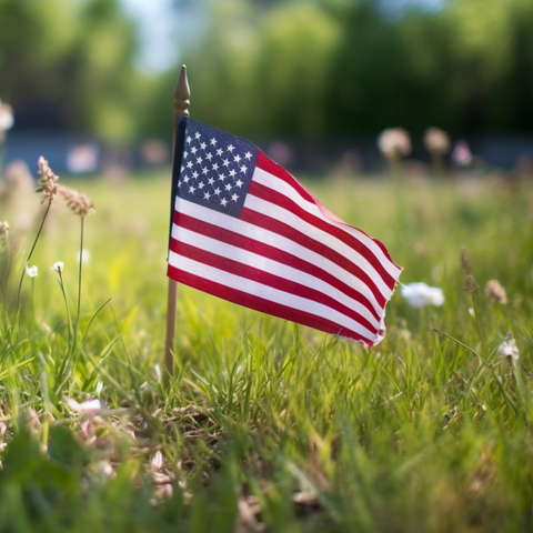 American flag in the grass for memorial day
