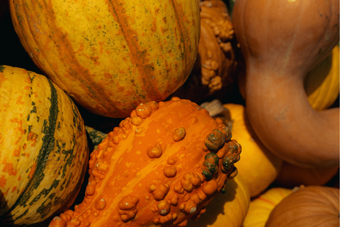 Closed Thanksgiving. Open Normal Hours on Black Friday.