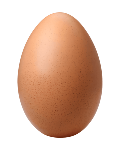 Ready-to-Lay Program Rustic Rock Pullets