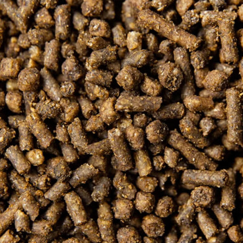 BUCKEYE™ Nutrition CADENCE™ Ultra Horse Feed