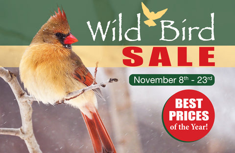 Best Wild Bird Prices This Year