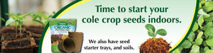 start your cole crop seeds indoor