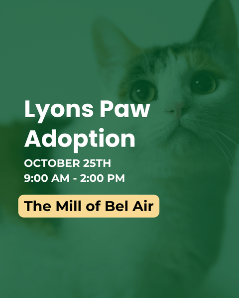 Lyons Paw Adoption October