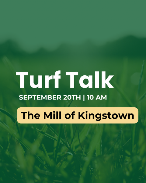 Turf Talk @ Kingstown