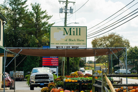 The Mill of Black Horse