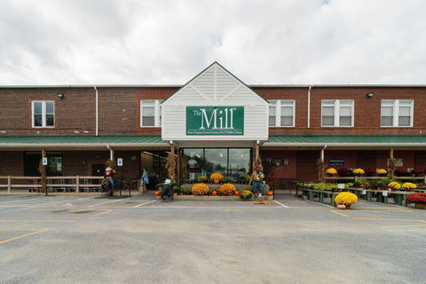 The Mill of Salisbury