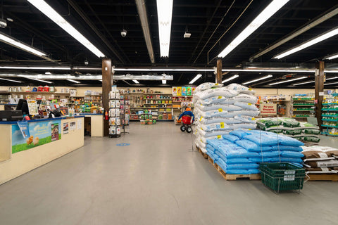 The Mill of Salisbury