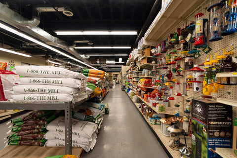 The Mill of Salisbury