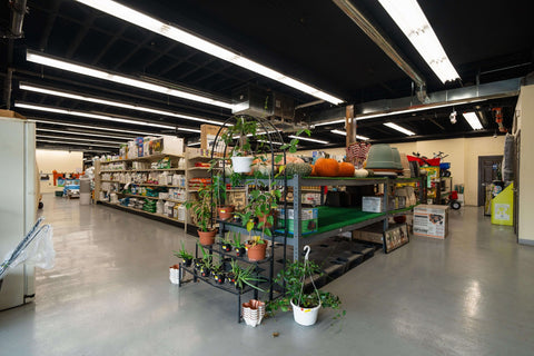 The Mill of Salisbury