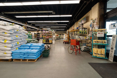 The Mill of Salisbury