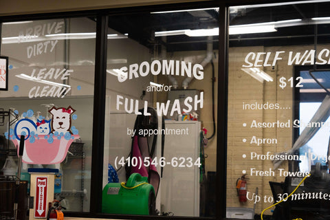 The Mill of Salisbury