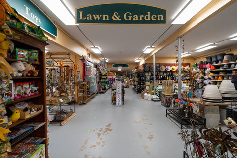 The Mill of Kingstown