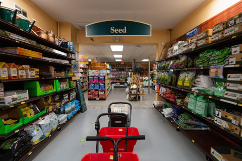 The Mill of Kingstown