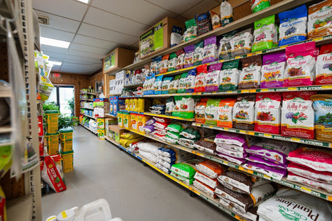 The Mill of Kingstown