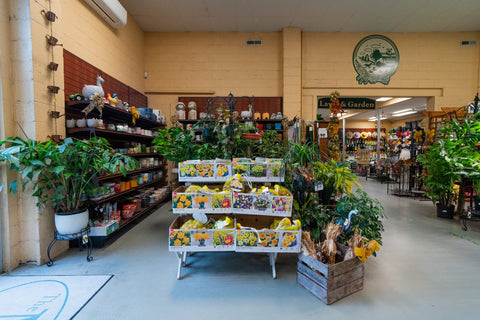 The Mill of Kingstown