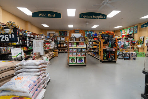 The Mill of Kingstown