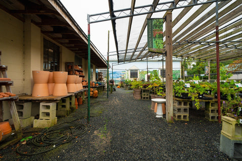 The Mill of Kingstown