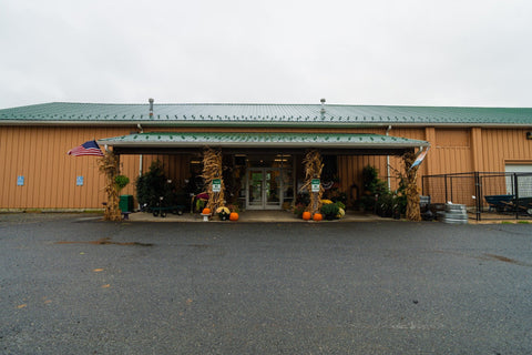 The Mill of Kingstown