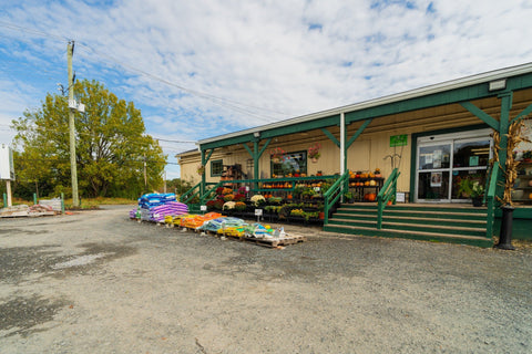 The Mill of Whiteford