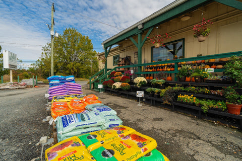 The Mill of Whiteford