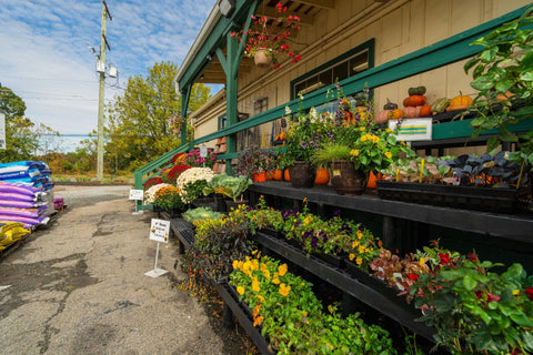 The Mill of Whiteford