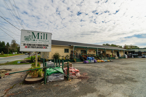 The Mill of Whiteford