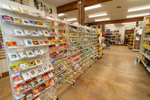 The Mill of Whiteford