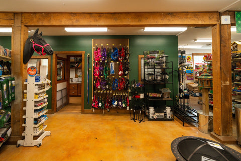 The Mill of Whiteford