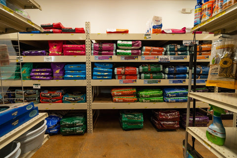 The Mill of Whiteford