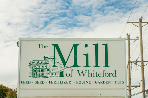 The Mill of Whiteford
