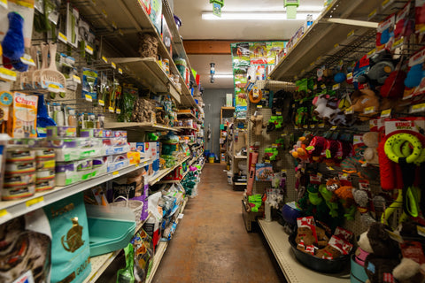 The Mill of Hampstead