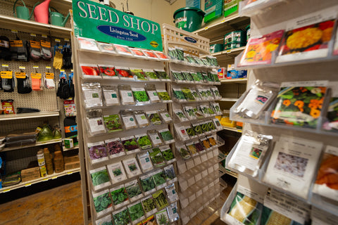 The Mill of Hampstead