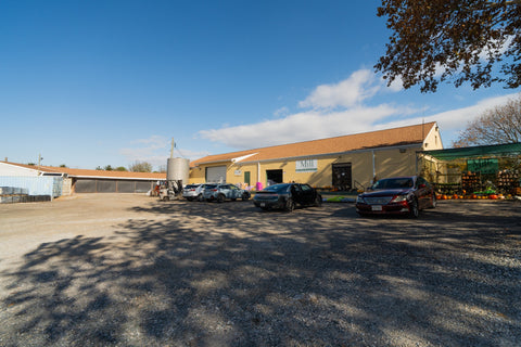 The Mill of Hampstead