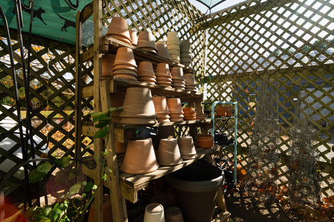 The Mill of Hampstead