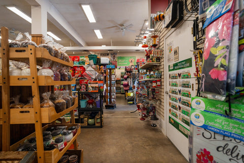 The Mill of Red Lion