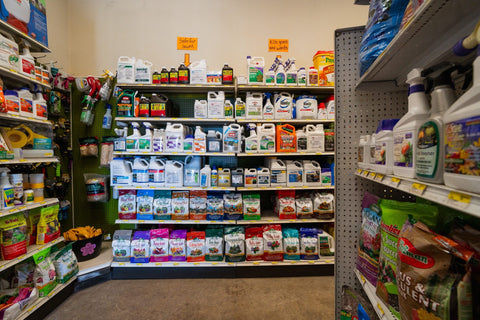 The Mill of Red Lion