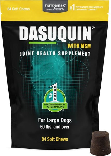 Dasuquin joint health supplement for large dogs with MSM on a black background