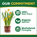 Espoma Organic Azalea-tone Fertilizer bag with green and white packaging, designed for healthy azalea plant growth