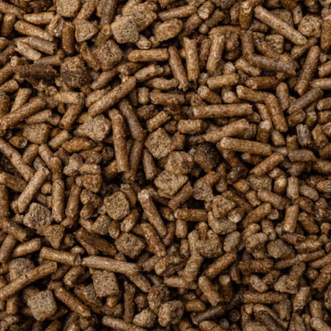 BUCKEYE™ Nutrition EQ8™ Gut Health Horse Feed